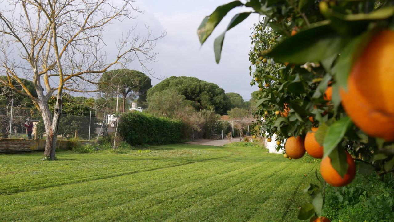 El Alfoli. Casa Rural Cerca Del Mar Villa Aljaraque Exterior foto