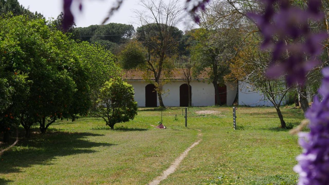 El Alfoli. Casa Rural Cerca Del Mar Villa Aljaraque Exterior foto