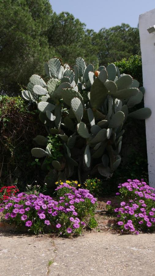 El Alfoli. Casa Rural Cerca Del Mar Villa Aljaraque Exterior foto